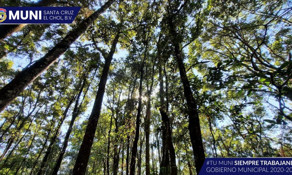 PARQUE ECOLÓGICO en Santa Cruz El Chol, B.V – Municipalidad de Santa ...