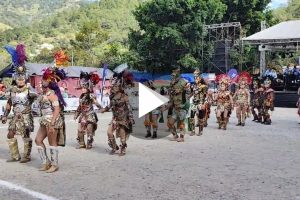 Ver video