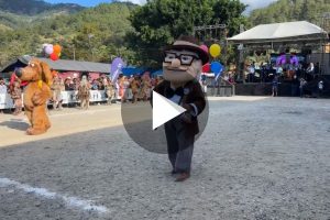 Ver video