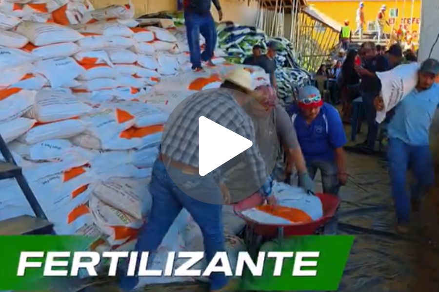 Ver video