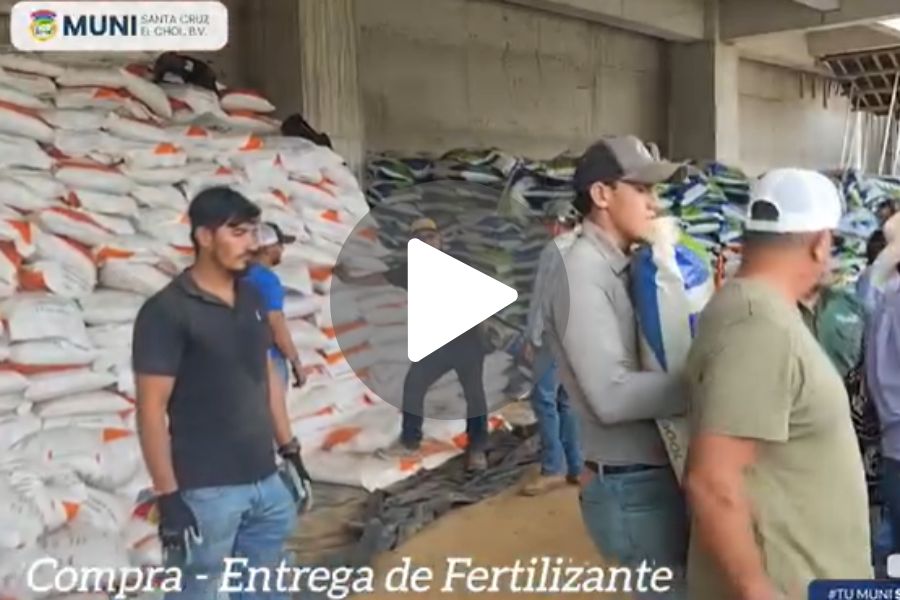 Ver video